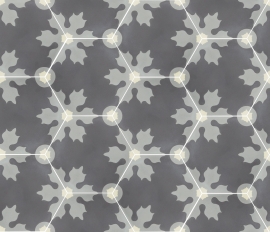 VH23-067-T01 Hexagon tile